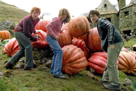 replica harry potter canale 5